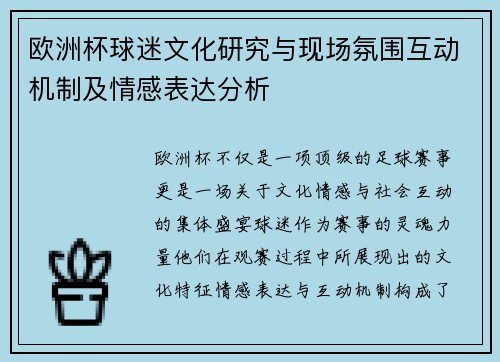 欧洲杯球迷文化研究与现场氛围互动机制及情感表达分析